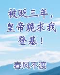 被贬三年，皇帝跪求我登基！