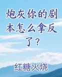 炮灰你的剧本怎么拿反了？