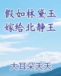 假如林黛玉嫁给北静王