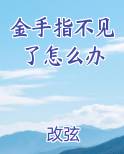 金手指不见了怎么办