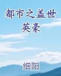 都市之盖世英豪
