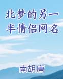 北梦的另一半情侣网名全文阅读