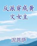 反派穿成黄文女主