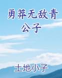 勇莽无敌青公子
