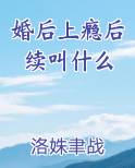 婚后上瘾后续叫什么