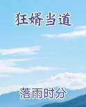 狂婿当道