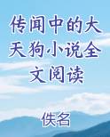 传闻中的大天狗小说全文阅读