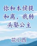 你和本侯提和离，我转头娶公主全文阅读