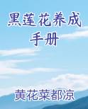 黑莲花养成手册