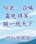 综武:召唤雷电将军,朕一统天下作
