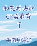 和死对头炒CP后我弯了