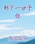 剩下一分予你