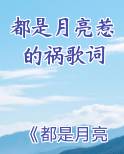 都是月亮惹的祸歌词