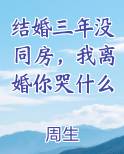 结婚三年没同房，我离婚你哭什么小说全集