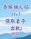 香槟桶火焰(1v1 强取豪夺 出轨)