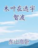 木叶在逃宇智波