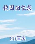 校园回忆录小说排行榜