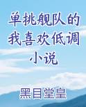 单挑舰队的我喜欢低调小说
