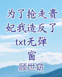 为了抢走贵妃我造反了txt无弹窗