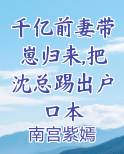 千亿前妻带崽归来,把沈总踢出户口本