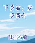 下乡后，步步高升