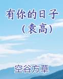 有你的日子（袁高）