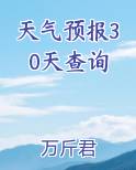 天气预报30天查询