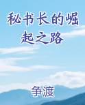 秘书长的崛起之路