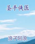 圣手侠医