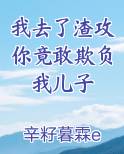 我去了渣攻你竟敢欺负我儿子