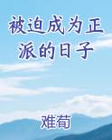 被迫成为正派的日子完结小说
