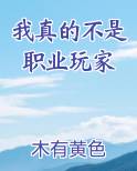 我真的不是职业玩家