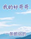 我的好哥哥