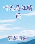 叶无忌汪晴雨