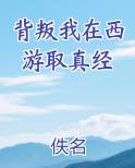 背叛我在西游取真经
