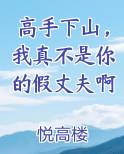高手下山，我真不是你的假丈夫啊
