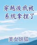 穿越後我被系统拿捏了