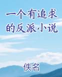 一个有追求的反派小说