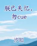 朕已失忆，勿cue