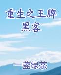 重生之王牌黑客