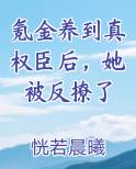 氪金养到真权臣后，她被反撩了