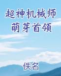 超神机械师萌芽首领