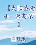 【太阳圣骑士—米契尔】