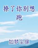 撩了你别想跑