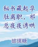 秘书藏起孕肚离职，祁总夜夜诱哄
