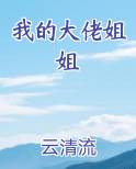 我的大佬姐姐最新