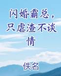 闪婚霸总，只虐渣不谈情