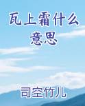 瓦上霜什么意思
