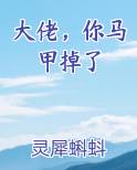 大佬，你马甲掉了