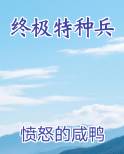 终极特种兵
